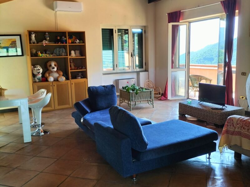 Villa con 3 Appartamenti Indipendenti